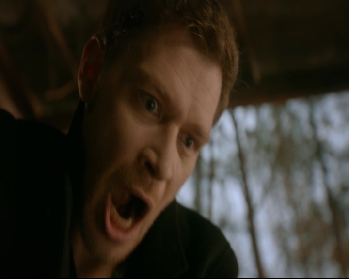 vampirediariesworld-dot-nl_TheOriginals5x12TheTaleOfTwoWolves01412.jpg