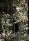 VampireDiariesWorld-dot-nl_6x01IllRemember0454.jpg