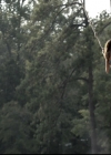 VampireDiariesWorld-dot-nl_6x03WelcomeToParadise0906.jpg