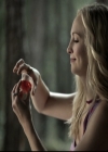 VampireDiariesWorld-dot-nl_6x03WelcomeToParadise1082.jpg