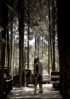 VampireDiariesWorld-dot-nl_6x03WelcomeToParadise1289.jpg