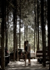 VampireDiariesWorld-dot-nl_6x03WelcomeToParadise1290.jpg