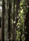 VampireDiariesWorld-dot-nl_6x03WelcomeToParadise1314.jpg