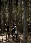 VampireDiariesWorld-dot-nl_6x03WelcomeToParadise1327.jpg