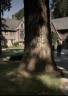 VampireDiariesWorld-dot-nl_6x04BlackHoleSun1221.jpg