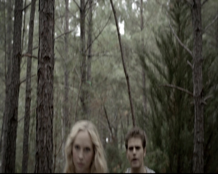 VampireDiariesWorld-dot-nl_6x06TheMoreYouIgnoreMeTheCloserIGet0797.jpg