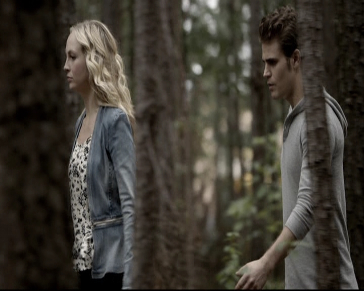 VampireDiariesWorld-dot-nl_6x06TheMoreYouIgnoreMeTheCloserIGet0808.jpg