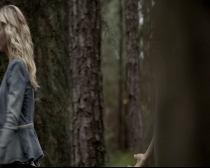 VampireDiariesWorld-dot-nl_6x06TheMoreYouIgnoreMeTheCloserIGet0809.jpg