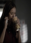 VampireDiariesWorld-dot-nl_6x06TheMoreYouIgnoreMeTheCloserIGet0603.jpg