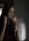 VampireDiariesWorld-dot-nl_6x06TheMoreYouIgnoreMeTheCloserIGet0604.jpg