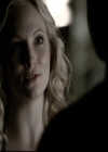 VampireDiariesWorld-dot-nl_6x06TheMoreYouIgnoreMeTheCloserIGet2157.jpg