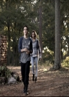 VampireDiariesWorld-dot-nl_6x08FadeIntoYou0357.jpg