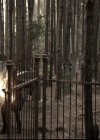 VampireDiariesWorld-dot-nl_6x09IAlone1960.jpg