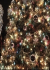 VampireDiariesWorld-dot-nl_6x10ChristmasThroughYourEyes2056.jpg