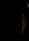 VampireDiariesWorld-dot-nl_6x12PrayerForTheDying0062.jpg