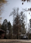 VampireDiariesWorld-dot-nl_6x14Stay0316.jpg