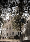 VampireDiariesWorld-dot-nl_6x15LetHerGo0546.jpg