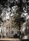 VampireDiariesWorld-dot-nl_6x15LetHerGo0547.jpg