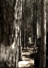 VampireDiariesWorld-dot-nl_6x15LetHerGo0791.jpg