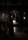 VampireDiariesWorld-dot-nl_6x17ABirdInAGildedCage0131.jpg