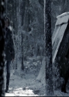 VampireDiariesWorld-dot-nl_6x17ABirdInAGildedCage0712.jpg