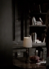 VampireDiariesWorld-dot-nl_6x17ABirdInAGildedCage1059.jpg