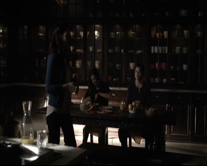 VampireDiariesWorld-dot-nl_6x18INeverCouldLoveLikeThat0337.jpg