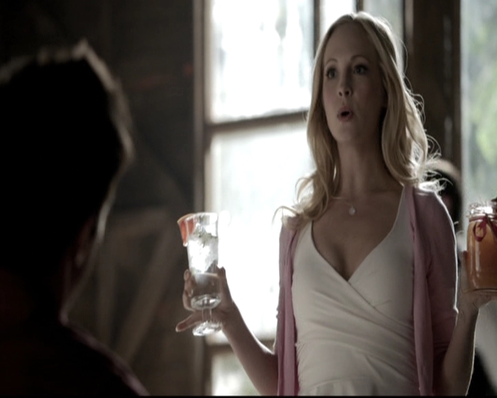 VampireDiariesWorld-dot-nl_6x21IllWedYouInTheGoldenSummertime1011.jpg