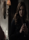 VampireDiariesWorld-dot-nl_6x21IllWedYouInTheGoldenSummertime0316.jpg