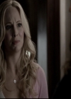 VampireDiariesWorld-dot-nl_6x21IllWedYouInTheGoldenSummertime0332.jpg