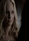 VampireDiariesWorld-dot-nl_6x21IllWedYouInTheGoldenSummertime0338.jpg