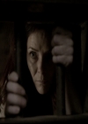 VampireDiariesWorld-dot-nl_6x21IllWedYouInTheGoldenSummertime0512.jpg