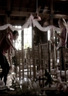 VampireDiariesWorld-dot-nl_6x21IllWedYouInTheGoldenSummertime0587.jpg