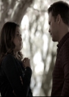 VampireDiariesWorld-dot-nl_6x21IllWedYouInTheGoldenSummertime0958.jpg