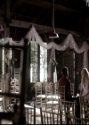 VampireDiariesWorld-dot-nl_6x21IllWedYouInTheGoldenSummertime1035.jpg