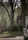 VampireDiariesWorld-dot-nl_6x21IllWedYouInTheGoldenSummertime1450.jpg