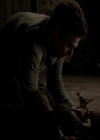 VampireDiariesWorld-dot-nl_6x21IllWedYouInTheGoldenSummertime2053.jpg