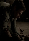 VampireDiariesWorld-dot-nl_6x21IllWedYouInTheGoldenSummertime2054.jpg