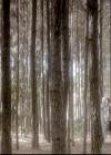 VampireDiariesWorld-dot-nl_6x22ImThinkingOfYouAllTheWhile0187.jpg