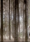 VampireDiariesWorld-dot-nl_6x22ImThinkingOfYouAllTheWhile0188.jpg