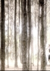 VampireDiariesWorld-dot-nl_6x22ImThinkingOfYouAllTheWhile0189.jpg