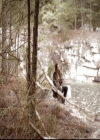 VampireDiariesWorld-dot-nl_6x22ImThinkingOfYouAllTheWhile0967.jpg