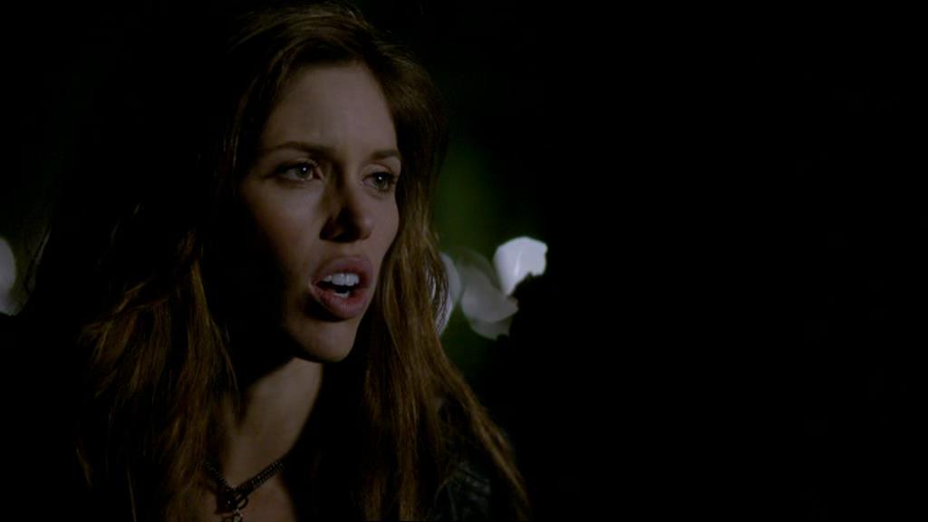 VampireDiariesWorld-dot-org_1x01Pilot_Captures01667.jpg