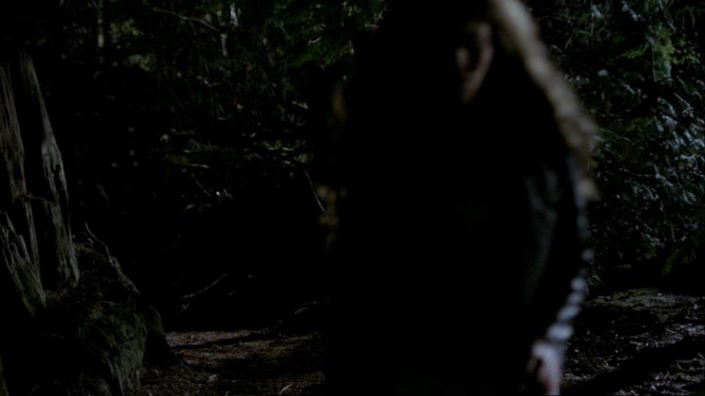 VampireDiariesWorld-dot-org_1x01Pilot_Captures01685.jpg