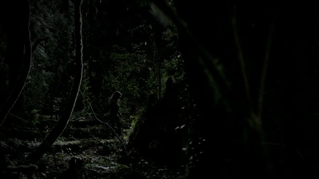 VampireDiariesWorld-dot-org_1x01Pilot_Captures01751.jpg