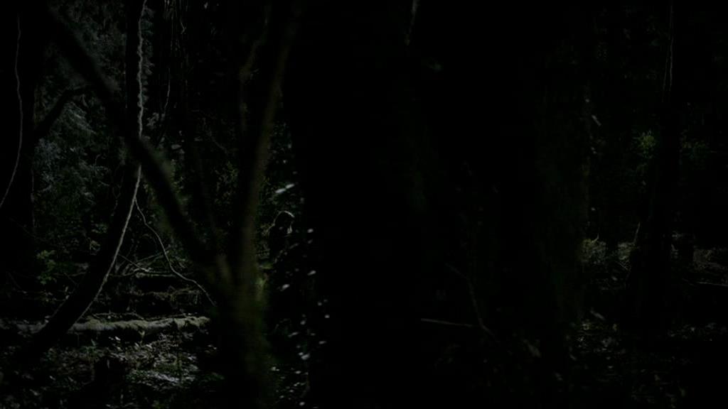 VampireDiariesWorld-dot-org_1x01Pilot_Captures01752.jpg