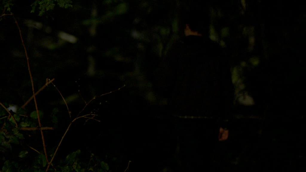 VampireDiariesWorld-dot-org_1x01Pilot_Captures01881.jpg