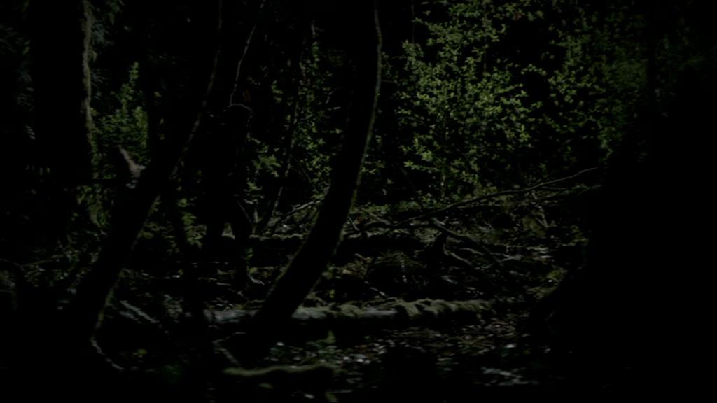 VampireDiariesWorld-dot-org_1x01Pilot_Captures01891.jpg