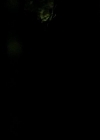 VampireDiariesWorld-dot-org_1x01Pilot_Captures01632.jpg