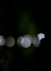 VampireDiariesWorld-dot-org_1x01Pilot_Captures01682.jpg